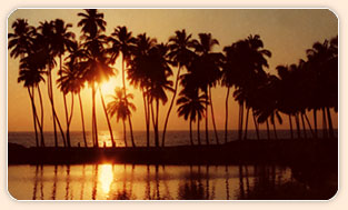 Sunset @ Kerala Backwaters