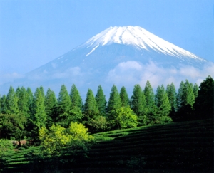 Mt.Fuji